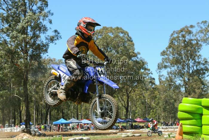 678x444 pixels (82K)